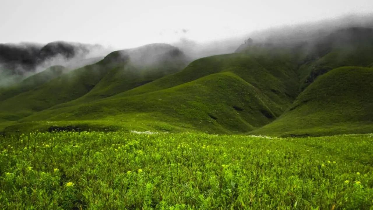 Monsoon Trips
