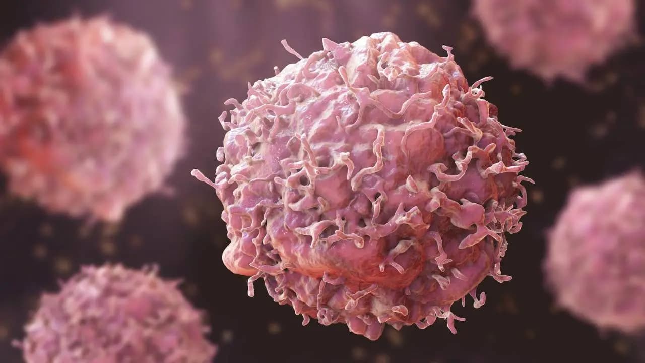 New drug is highly effective against one of the deadliest forms of cancer