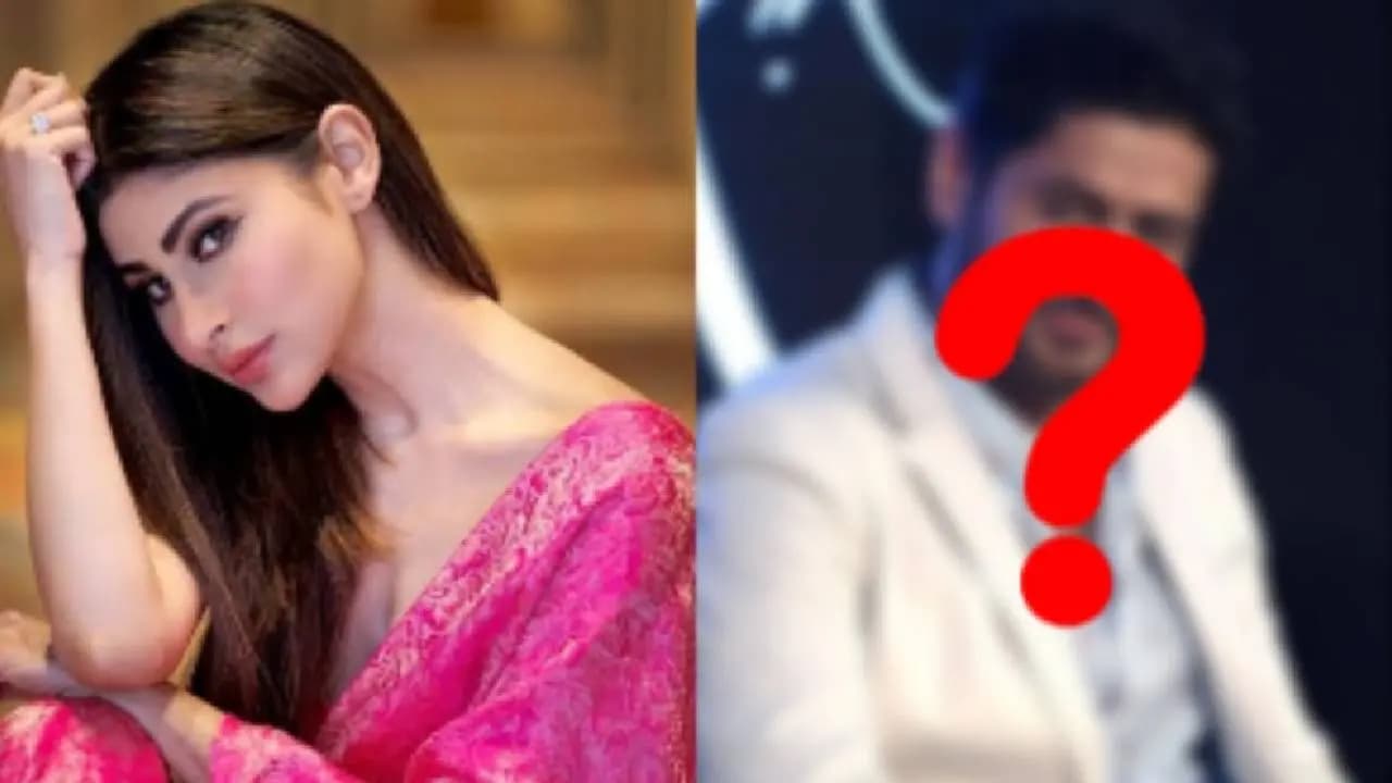 mouni roy and mohit raina relationship