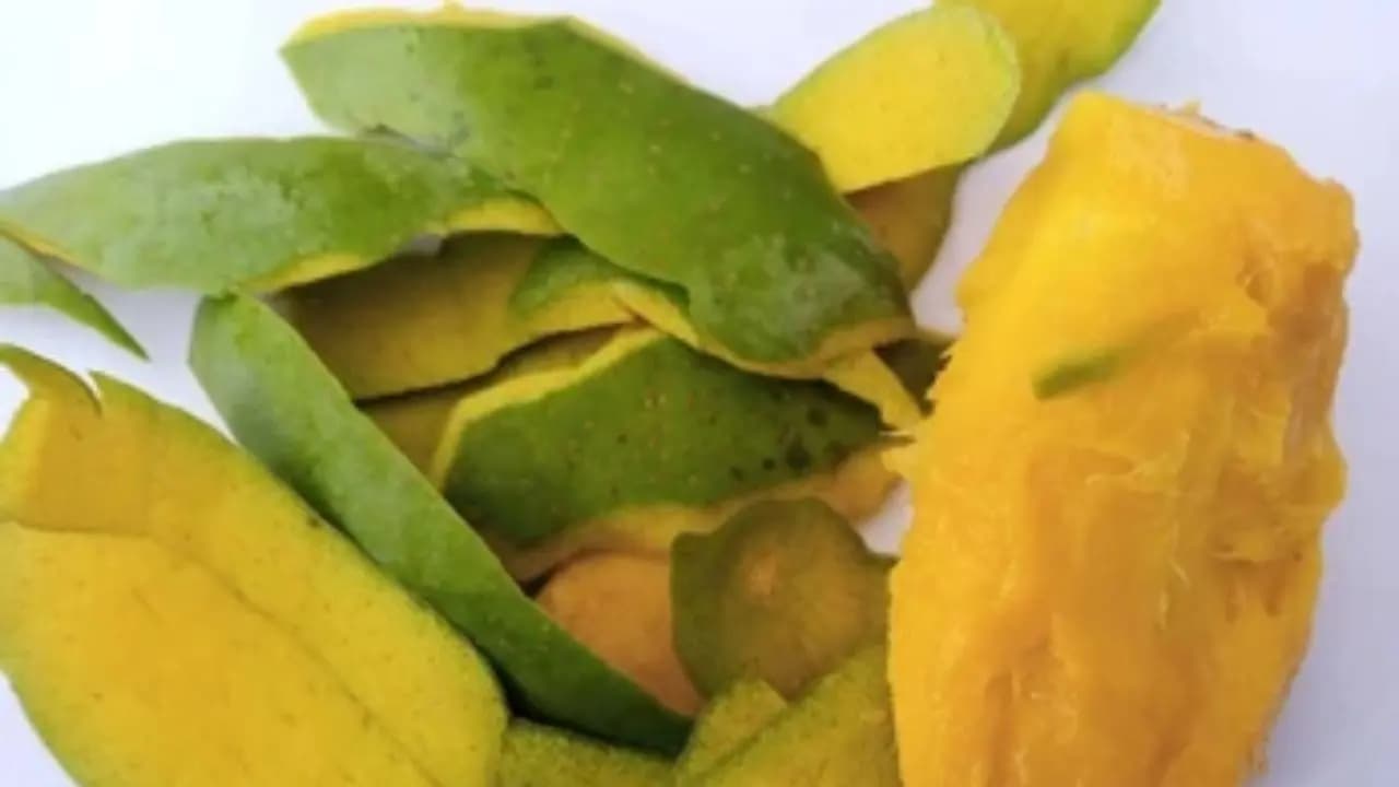 Mangol Peels