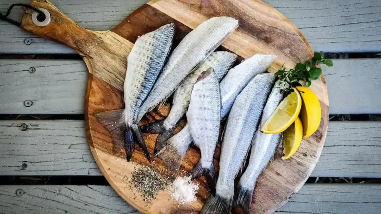 Harmful Fish in Monsoon
