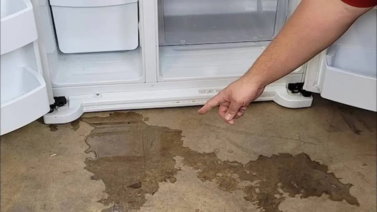 Refrigerator Leaking Water 5 Easy Ways to Fix Your Fridge at Home Before Calling a Mechanic