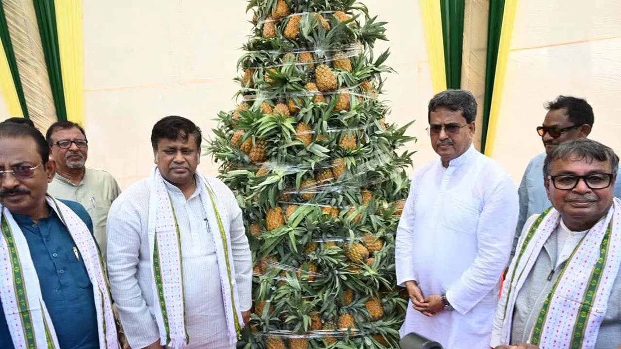 Assurance to showcase Queen pineapple on the global stage Tripura elated by PM Modis message