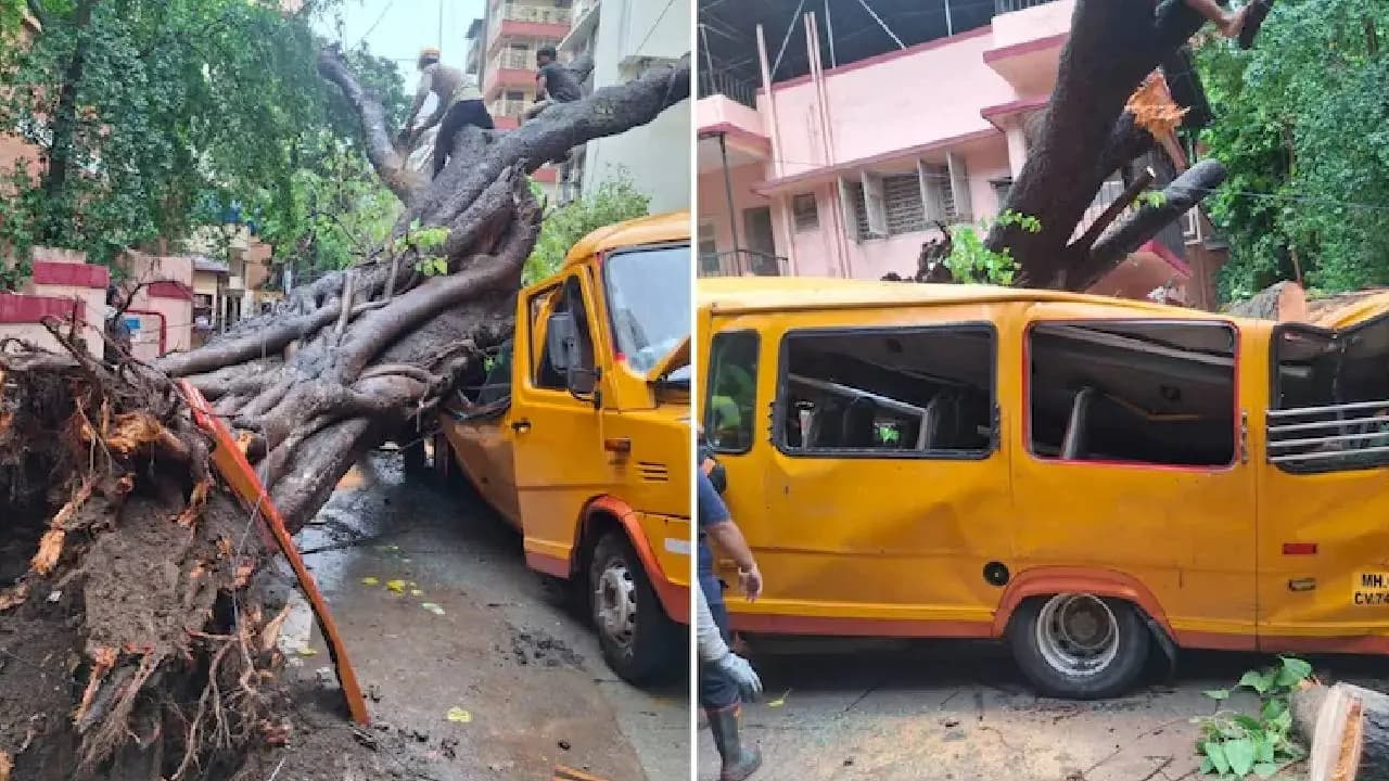 Major Accident In Mumbai 11-Year-Old Student Dies, 4 Injured After Tree Falls On Mumbai School Bus 