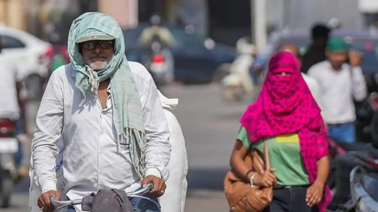 Delhi Weather: Delhi Feels Like 53 Degree Celsius, But Its Not Heatwave, Dry Heat From Pakistan, Humid Air From Arabian Sea