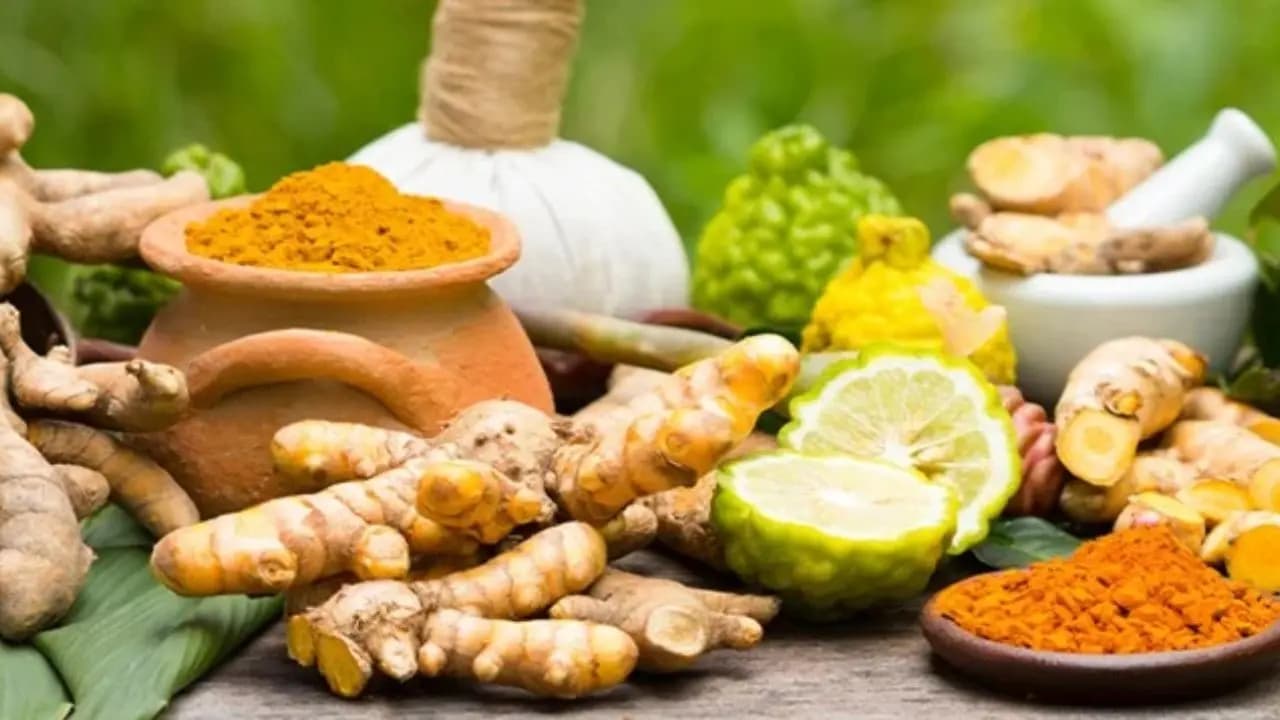 10 Ayurvedic Herbs for Everyday Health and Natural First Aid