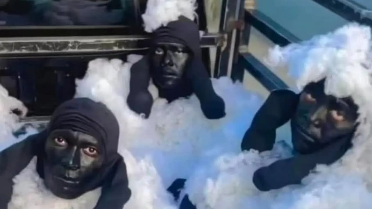 Bizarre: some men tried to cross the border by disguising themselves as sheep where happened this incident