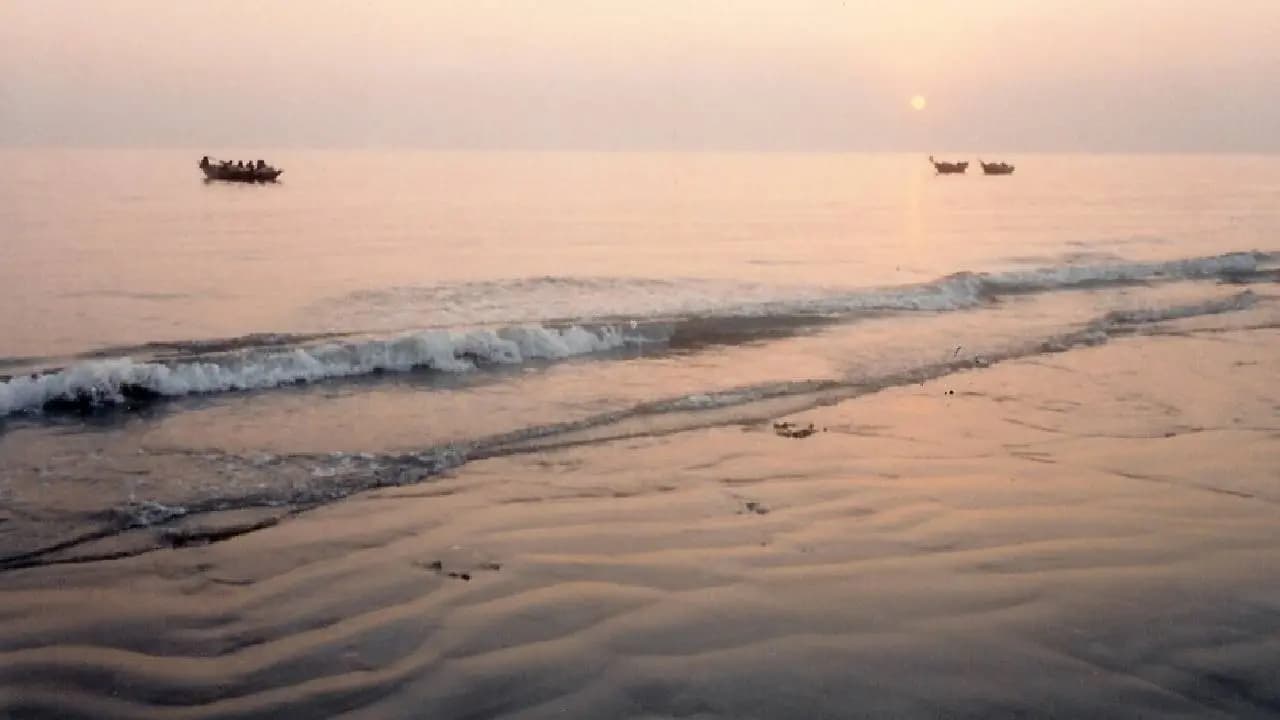 Sea Beach