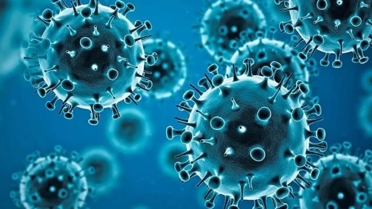 Covid-19 Death: Comorbidity Risks and Key Corona Symptoms Explained 