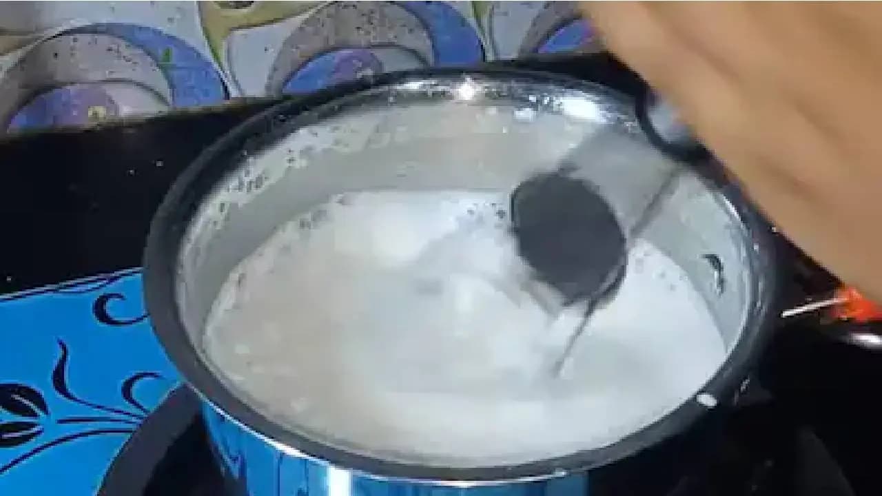 Detergent, Palm Oil Used to Make Fake Milk: Maharashtra FDA Uncovers Major Adulteration Racket, 2.3 cr Litres of Synthetic Milk Sold Over Last 6 Months 