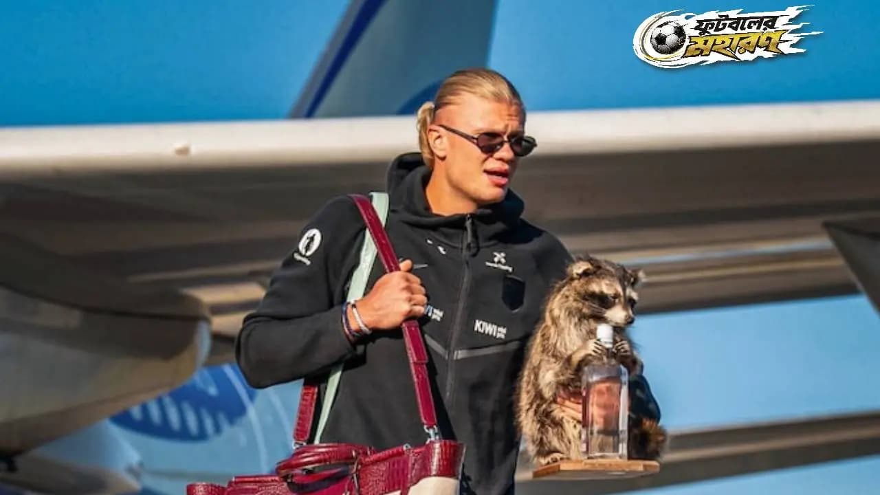 World Cup 2026: The story behind Erling Haaland carrying Raccoon all the way from World Cup 
