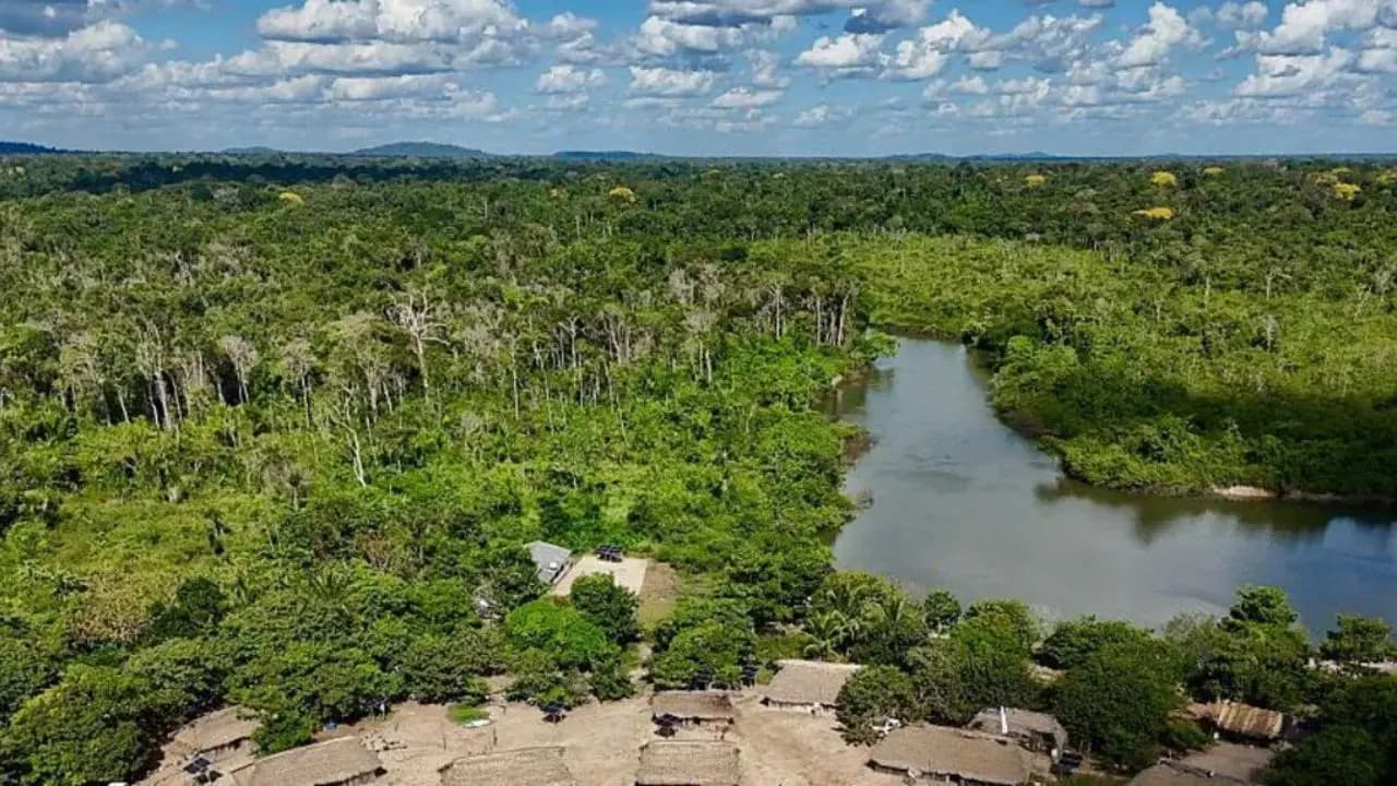 Amazon Environment: Brazils Amazon sees sharp decline in size of area burned due to Wildfire in 2025