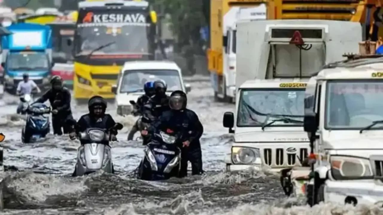 IMD Weather Update: Check weather update of Kolkata and other district of west bengal on Monday