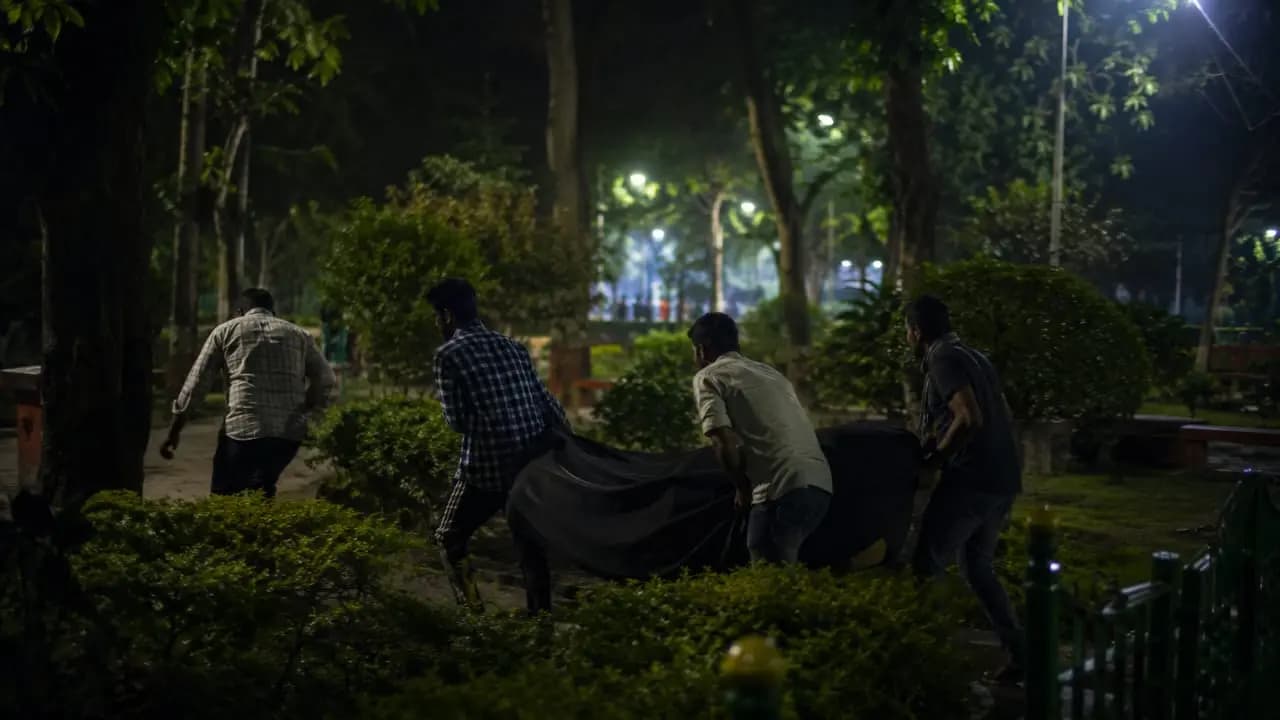 Peacocks, Turtles Missing From Municipal Park in Baruipur: 3 Detained Over Smuggling Allegations