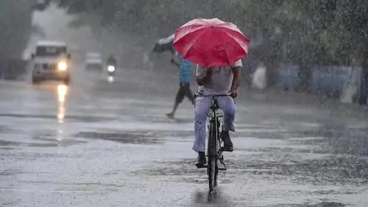 IMD Weather Update Heavy to very heavy rainfall Thunderstorm with lightning and Gusty wind in next days in districts 