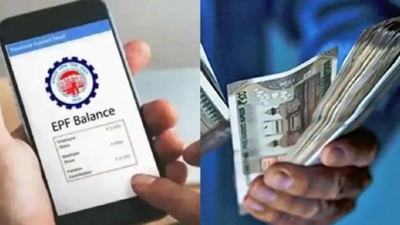 EPFO Balance Check: Employees Can Track PF Contributions Online and Report Missing Deposits
