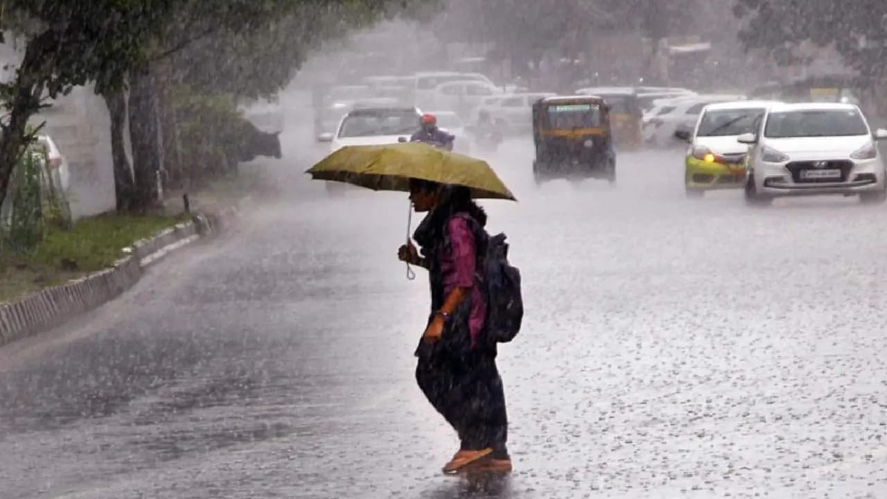 Kolkata Rain alert big update: Thunderstorm Heavy rainfall in west bengals districts in next days 
