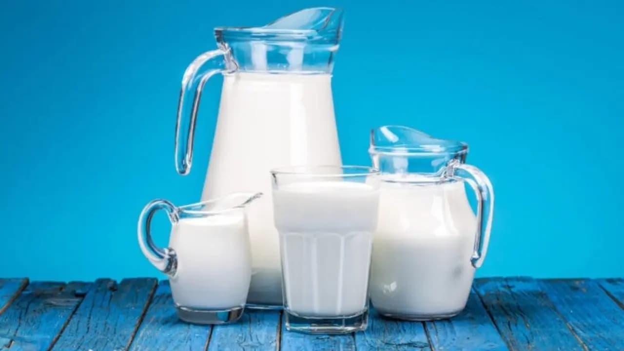 Is Milk Vegetarian or Non-Vegetarian? Key Differences Explained Between Vegans and Vegetarians