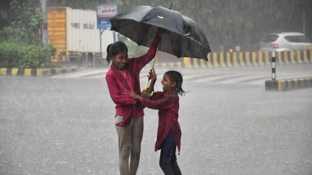 IMD Weather Update: Monsoon to unleash heavy rains over these regions in India till mid august check IMD forecast