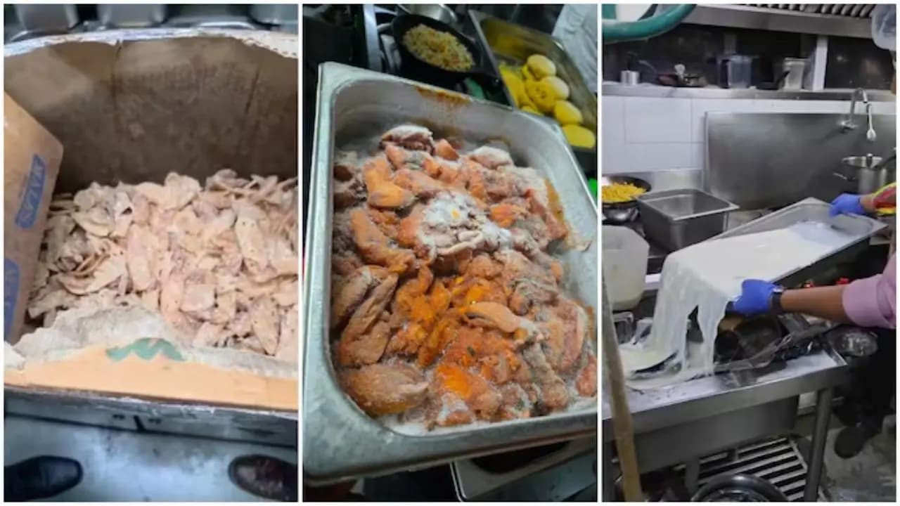 Viral News: Posh Bengaluru pub and restaurant shut down after food safety raid recovers 45 kg rotten meat expired milk