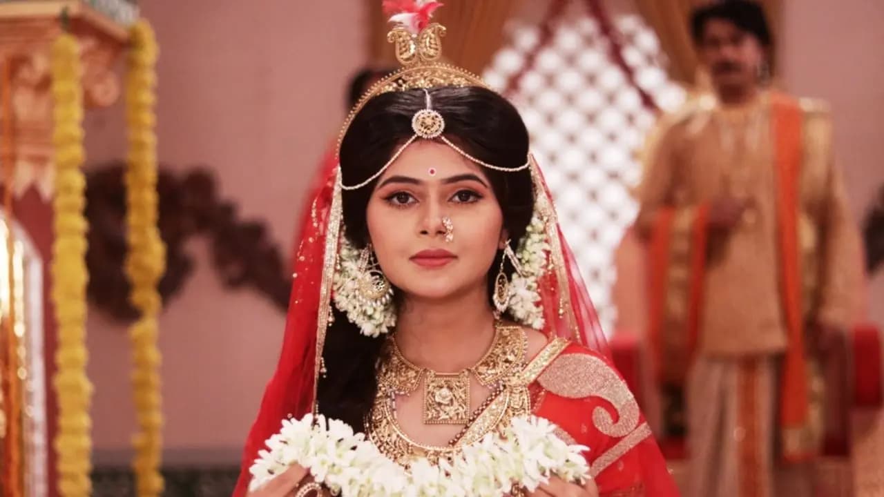 Nal damayanti serial: Rupsha chowdhury rishav bhowmick starred serial starting soon in aakash aath