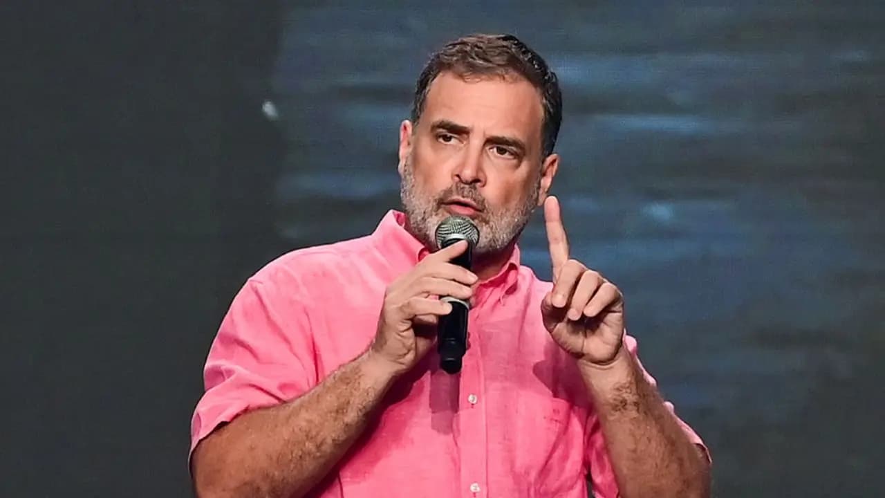 Rahul Gandhi: Politics behind Rahul Gandhis Pink Shirt why it Is More Than A Fashion Statement