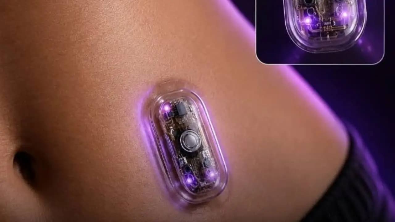 Mini Pancreas Breakthrough: Lab-Grown Organoid Produces Insulin for Diabetes Care