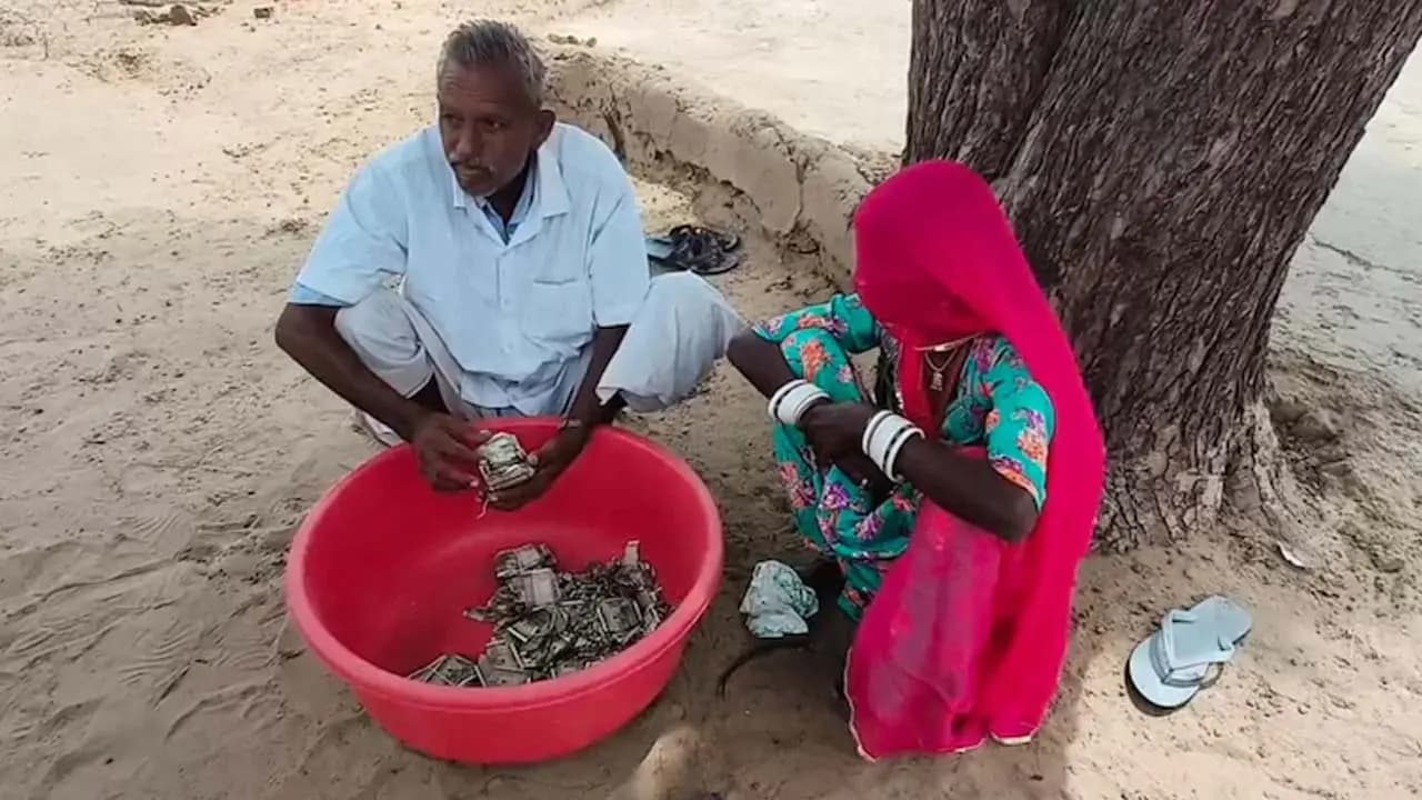 Bizarre Idea: Rajasthan farmer had hidden money in his field to keep it away from his family a year later his luck ran out termites had devoured it all 