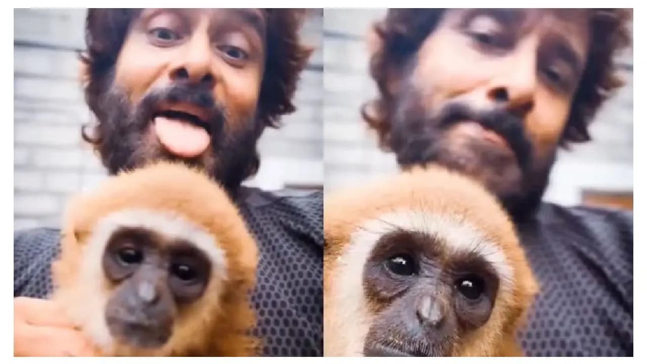 Chiyaan Vikram Faces Wildlife Probe After Viral Lar Gibbon Video Sparks Legal Controversy in Tamil Nadu