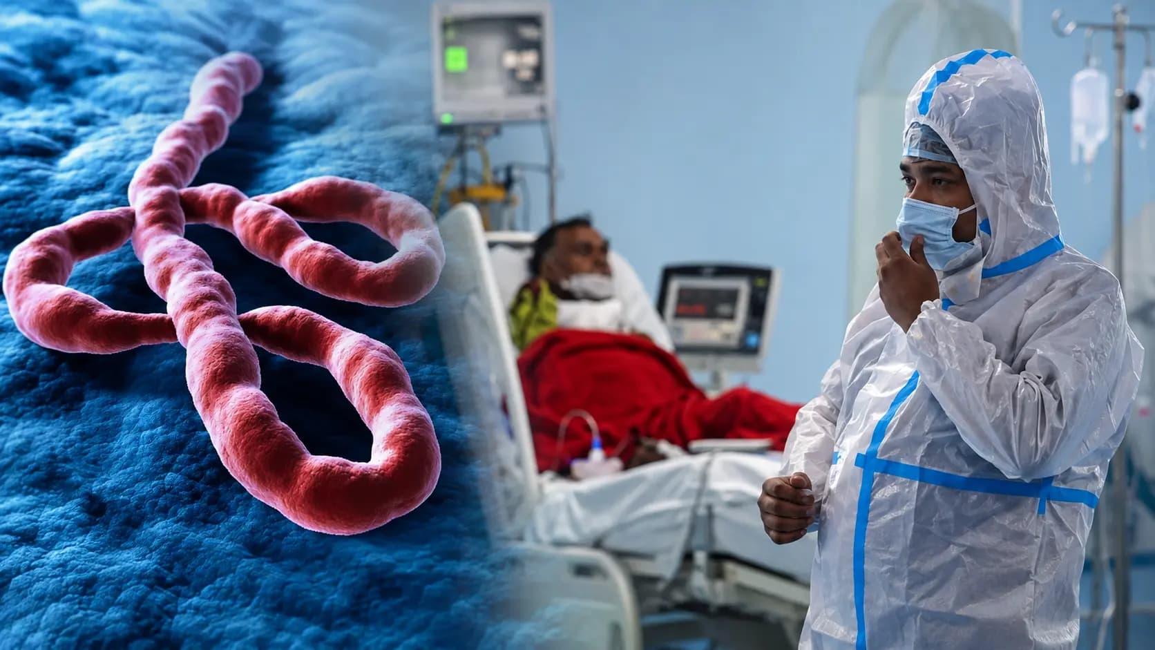 New Ebola Virus: Congo Ebola outbreak crosses 2,000 deaths  fastest-growing on record 