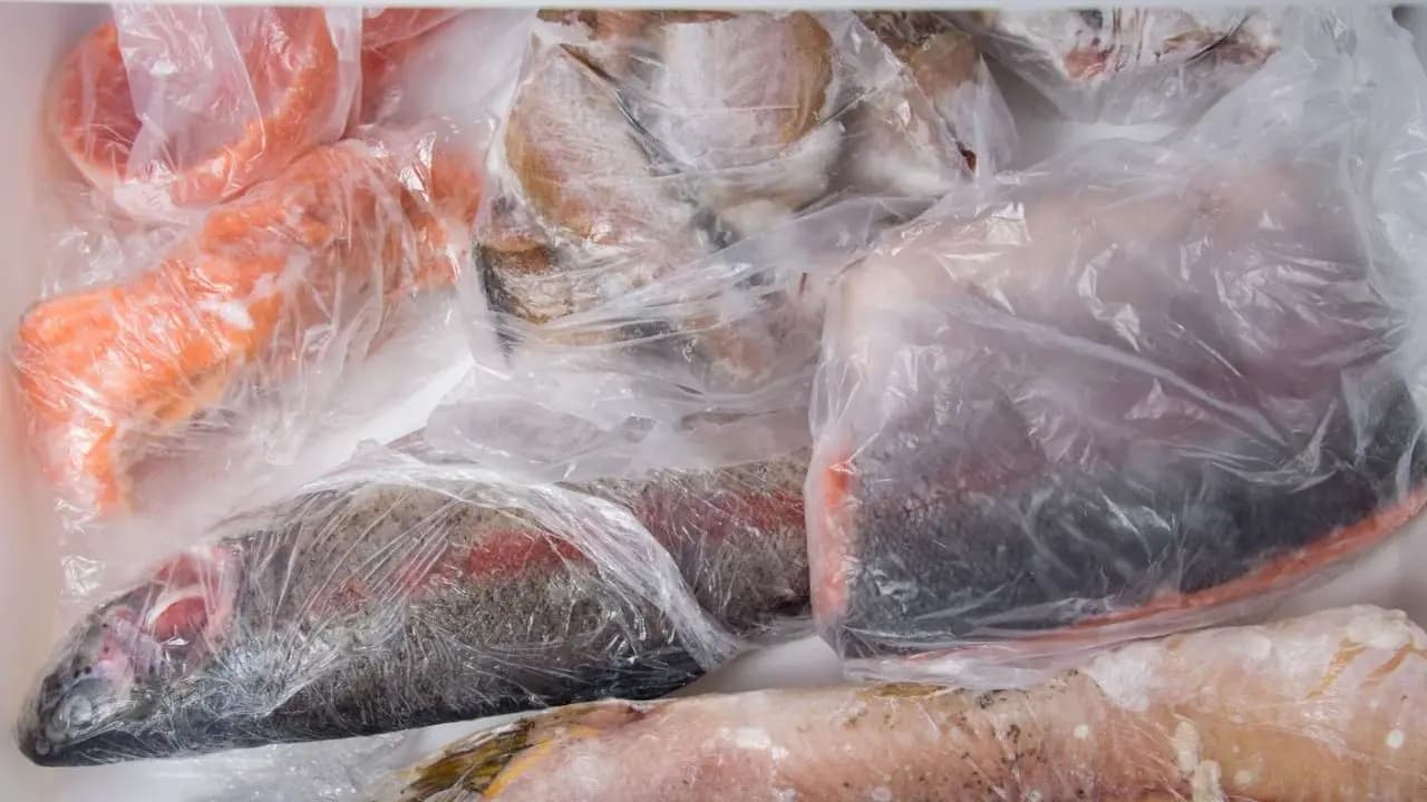 Food Safety: Is it Safe to Eat Expired Meat, Fish, or cheese What do doctors say? What do Best Before and Expiry Actually Mean?