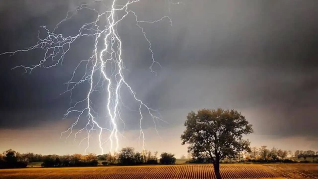 Lightning Strike in Patharpratima: Woman Farmer Dies, Three Injured While Planting Paddy