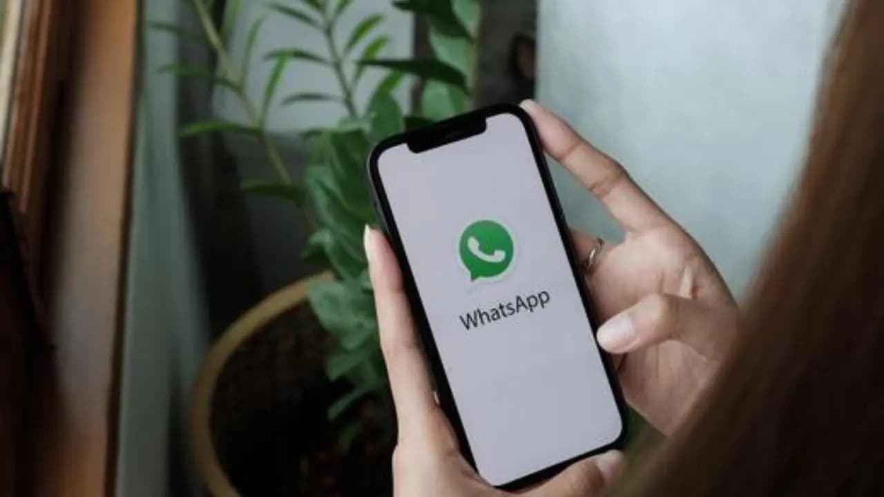 WhatsApp tips: deleted important messages or chat, retrieve them in this way 