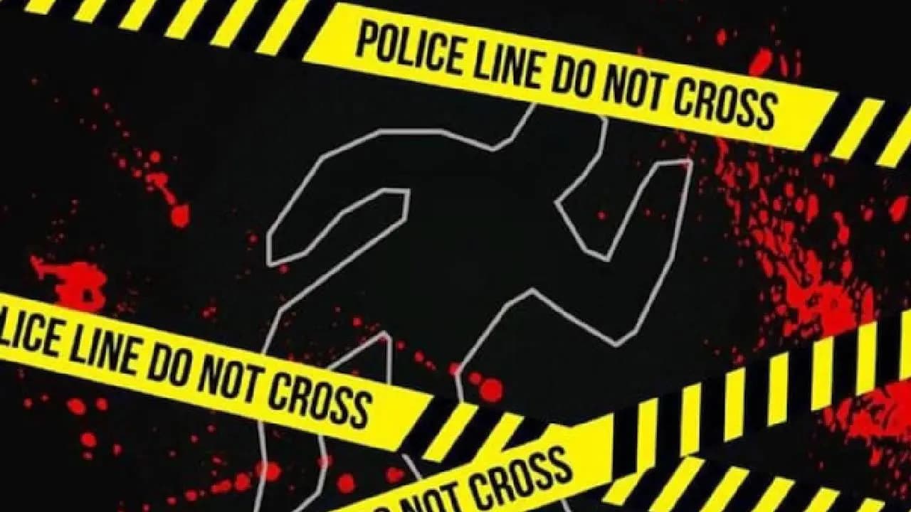 Indian-origin Youth Allegedly Searched Online Before Killing Mother and Brother in USA, Police Reveal Shocking Details