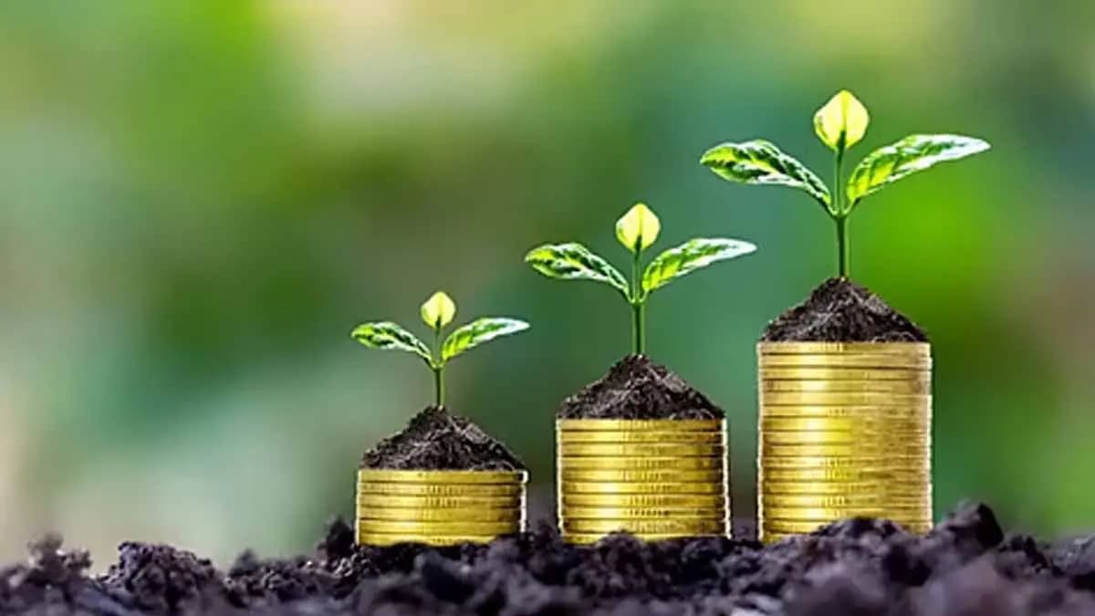 Flexi-Cap Mutual Funds: 10-Year SIP Returns, Top Performers, and Key Investor Takeaways