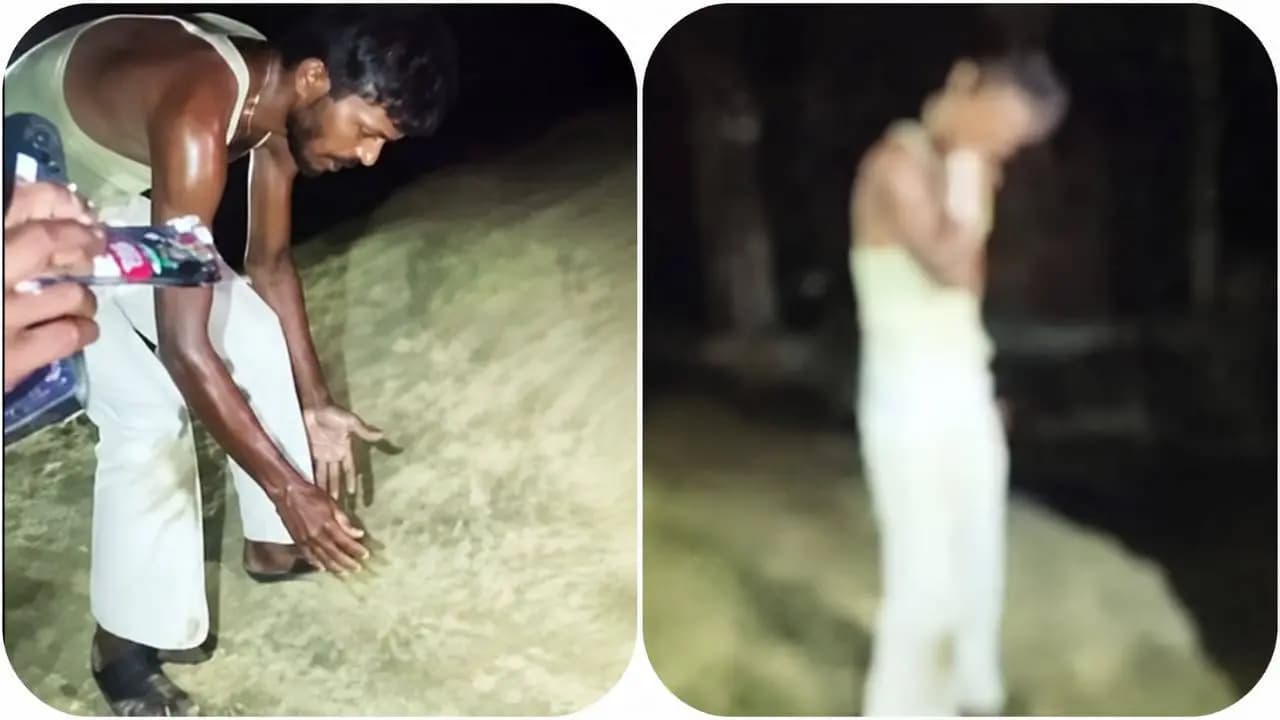 Snake Trending News: Drunken Man Bites Cobra After It Bites Him Three Times, Uttar Pradesh Trending Video