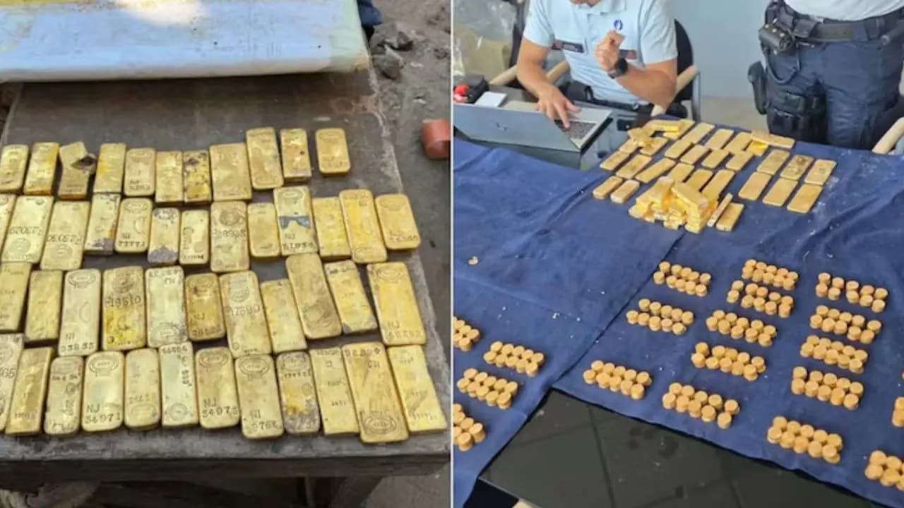 Gold Money Found: Belgiums 18 Year Old Guy Finds gold Treasure worth 98 Crore rupees During Sewage Work