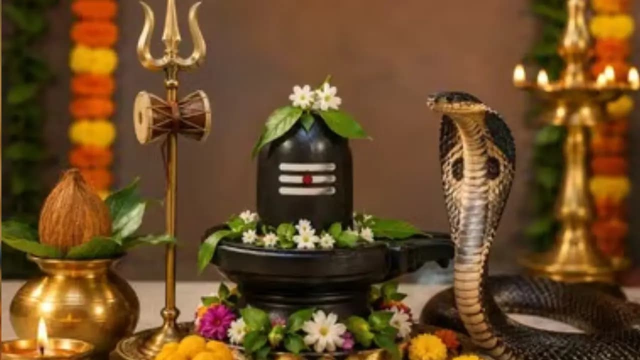 Kalsarpa Dosha Remedy on Nagpanchami: Rare Alignment with Shravan Monday know easy tips to reopen your luck