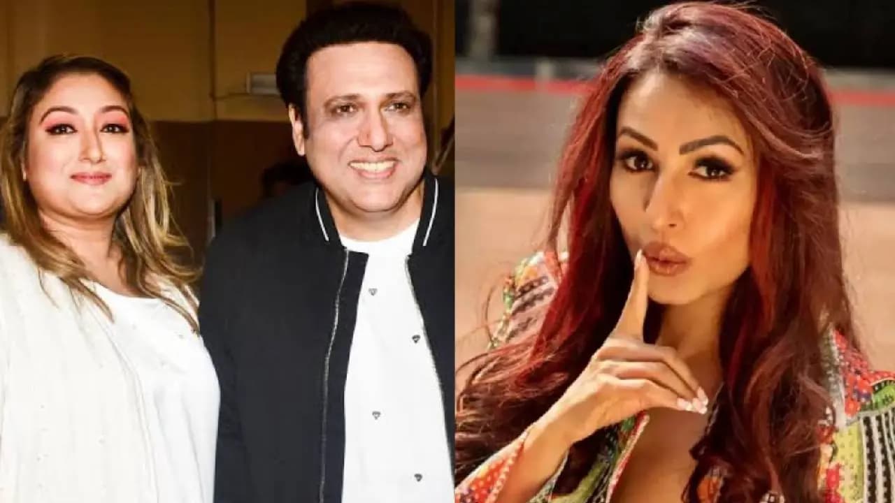 Kashmera shah shared cryptic post amidst govinda-sunita feud