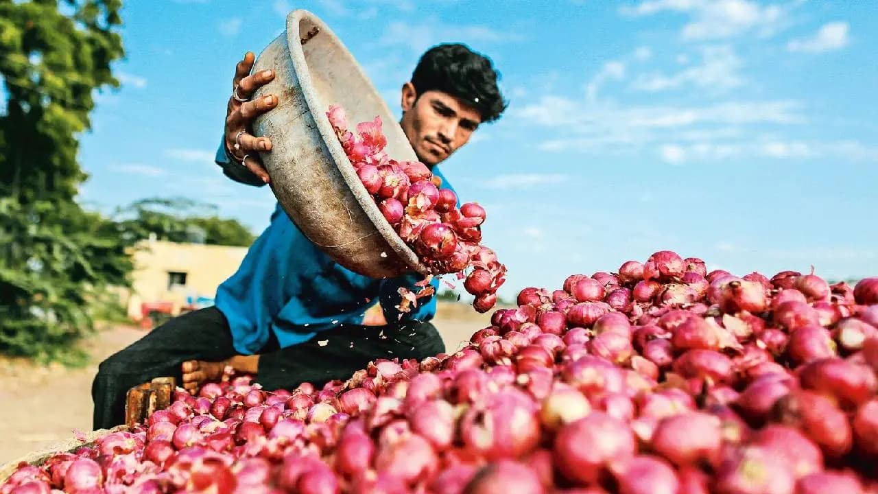 Onion Price Big Hike: Onion prices surge despite low monsoon demand may hit 50/kg soon