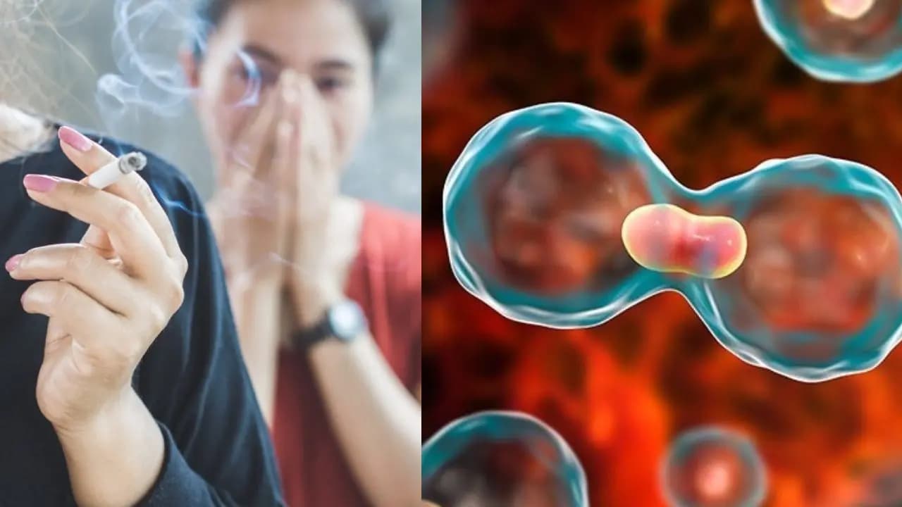 Secondhand Smoke Women Cancer Risk Mouth Gut Lung cancer