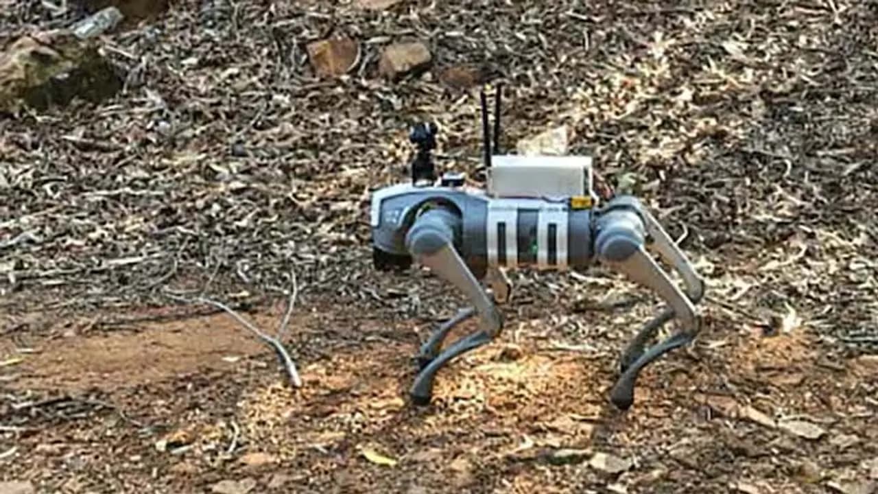 Robot dogs will now be used in Tirumala for wildlife monitoring and the safety of pilgrims