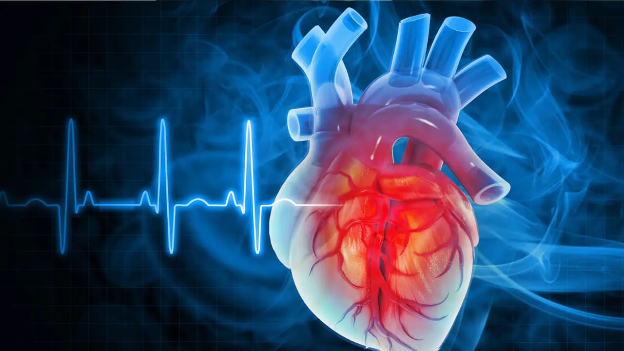 Heart Attack Recovery: Body Creates Alternative Pathways internally after Heart blockage