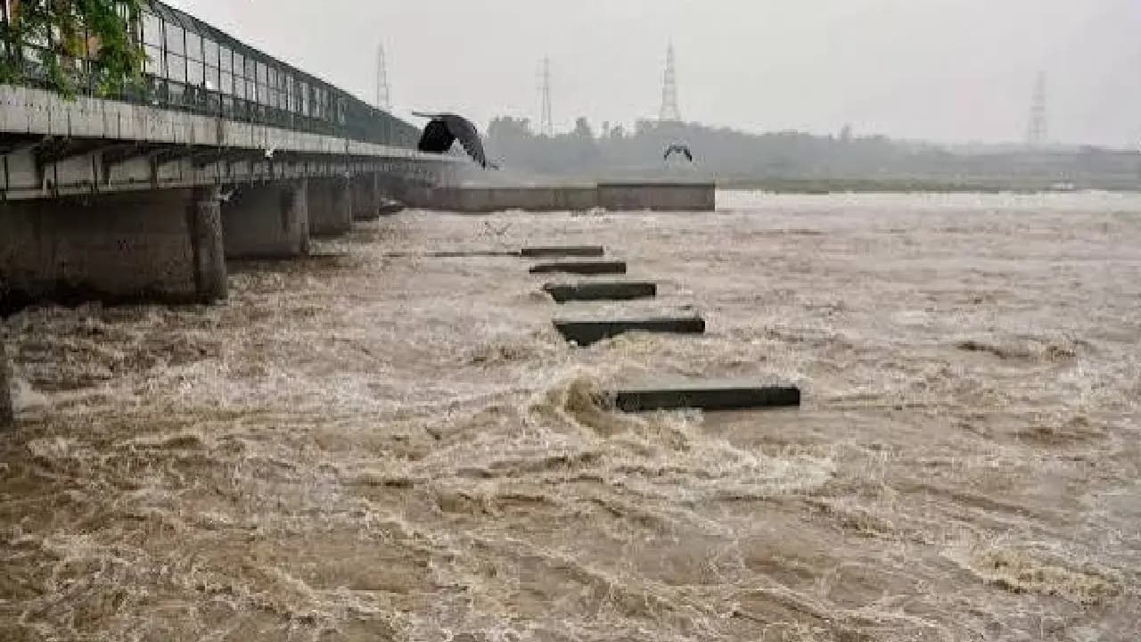 iphone-EMI case: after maharashtra Delhi Dance Teacher Jumps Into Yamuna
