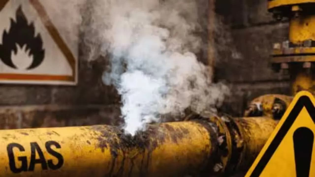Haroa Gas Leak: Ammonia Gas Leak in Basirhats Haroa Ice Factory 7 falls ill