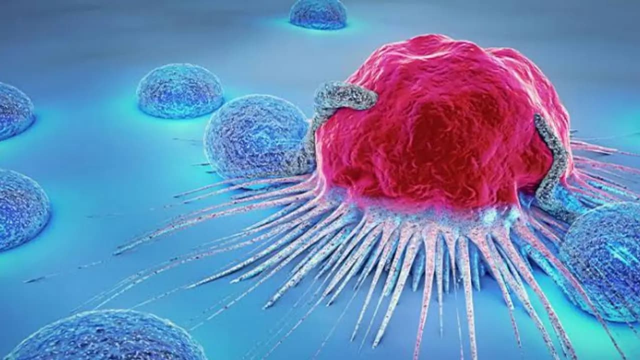 Personalized Cancer vaccine will be created from their own tumor! How is this possible?