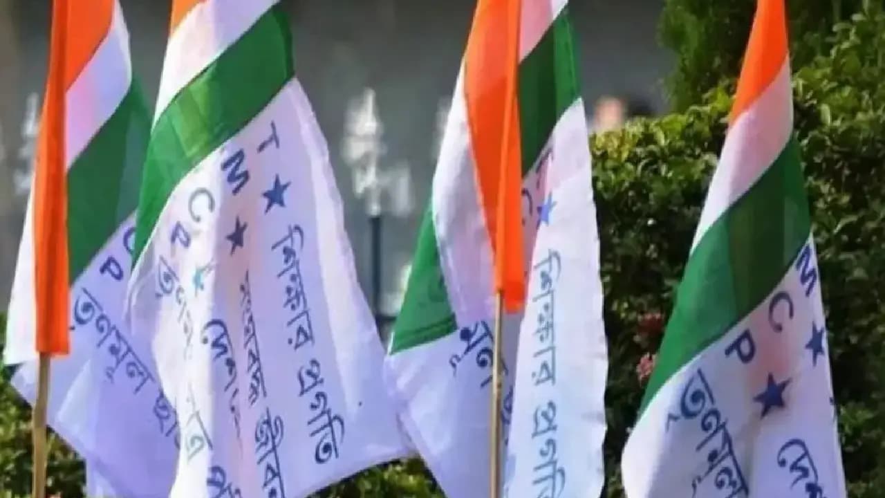 TMCP Foundation Day: Kalighat TMC Ritabrata Tmc court directs both faction to hold foundation day event