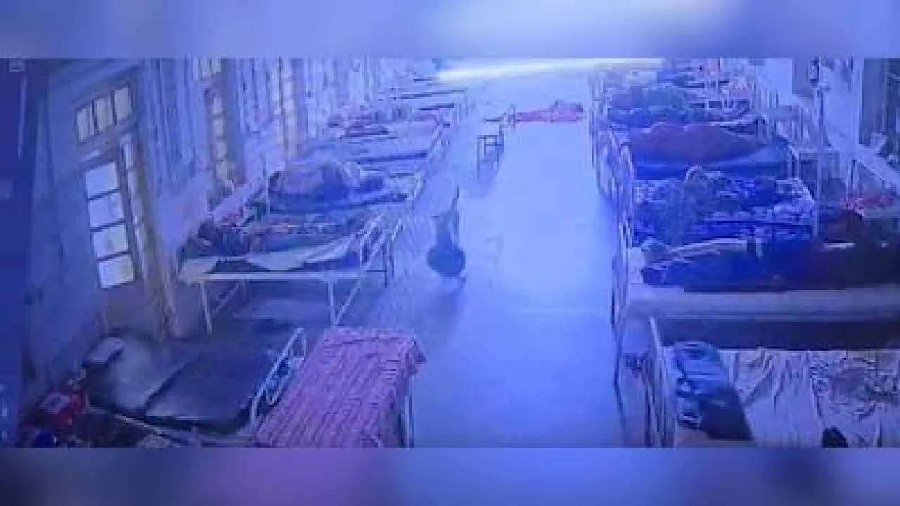 Jewellery Goes Missing From Hospital, CCTV Shows Dog Took It Away in Madhya Pradesh