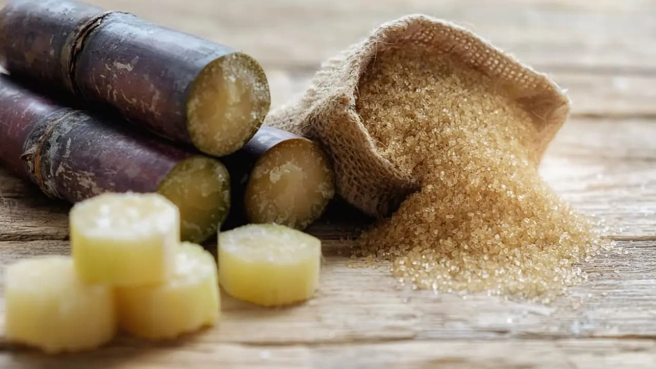 100 kgs sugracane produce how much sugar