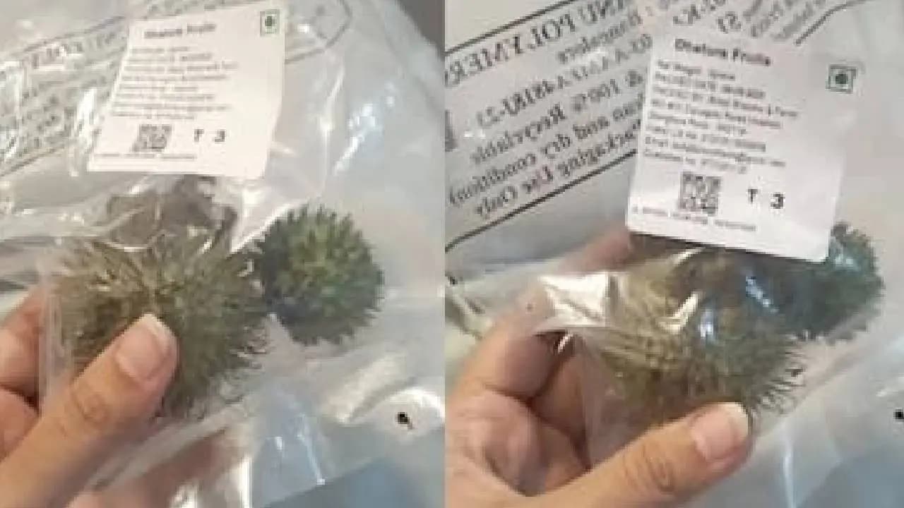 Karnataka Suspends Three Famous Online Delivery App Licences Over Dhutura Fruit Sales